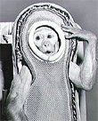 Sam