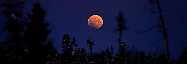 Blue Moon