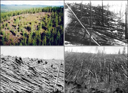 Tunguska: passado e presente Tunguska