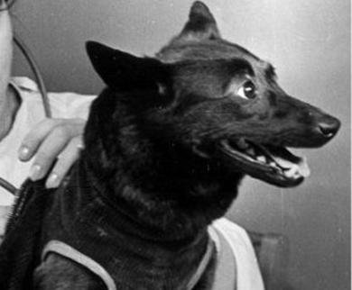 Chernushka Arquivo histórico